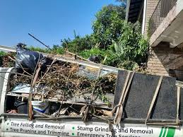 Best Basement Cleanout  in Cullowhee, NC